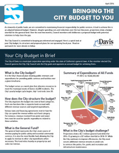 City-Budget-Flyer-1