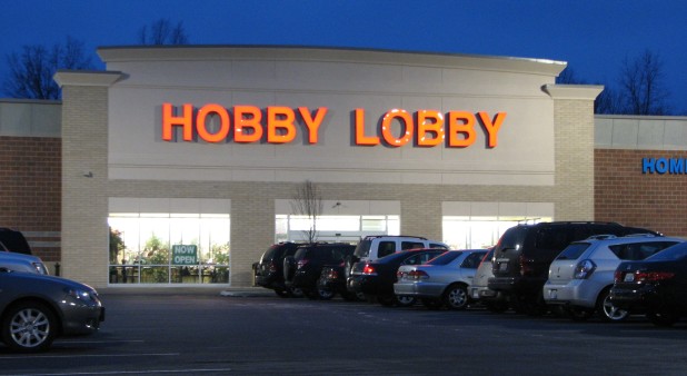 Dual LED Neck Light, Hobby Lobby