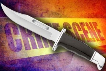 Davis Police Arrest Two for New Year’s Stabbing
