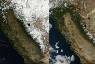 My View II: In Defense of Almonds or Re-Examining Agriculture in California
