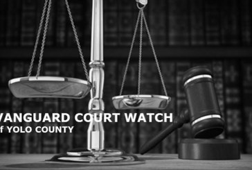 Crowd Sourcing the Vanguard Court Watch Expansion