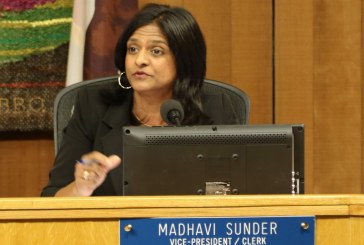 In Their Own Words: Madhavi Sunder’s Final Comments on AIM Proposal
