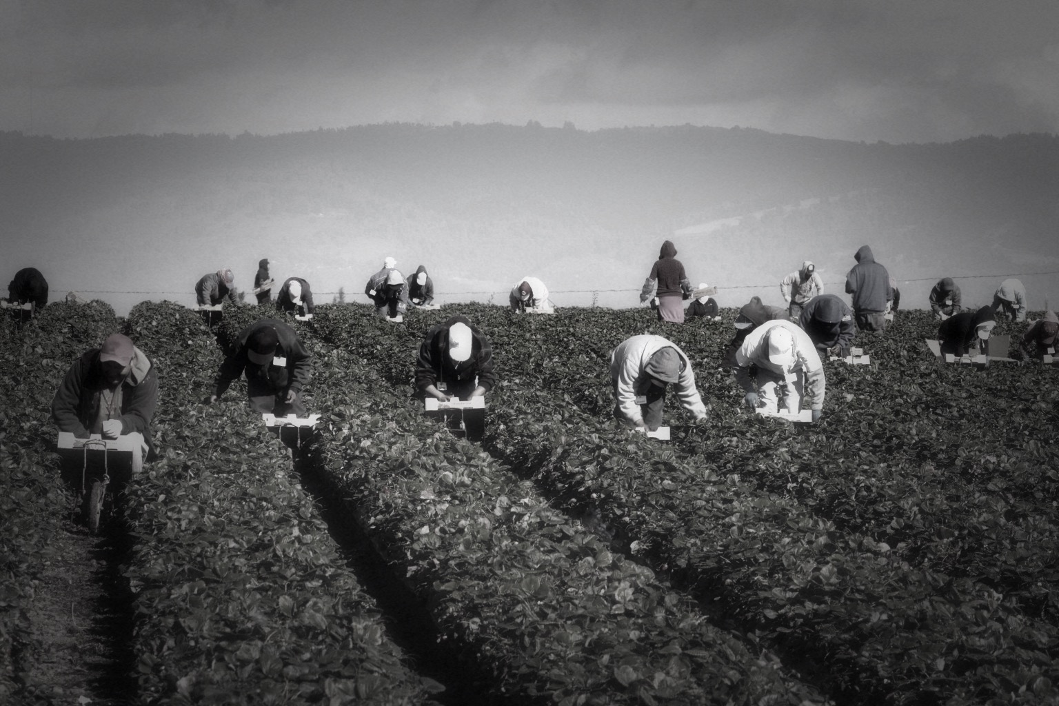 Why We Fasted for Farm Worker Rights Davis Vanguard