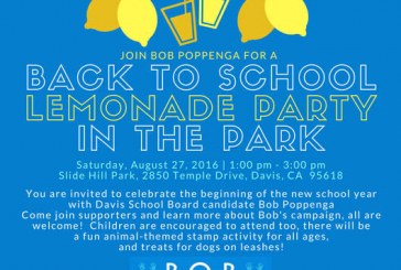 Bob Poppenga For School Board: Saturday Lemonade in Slide Hill Park