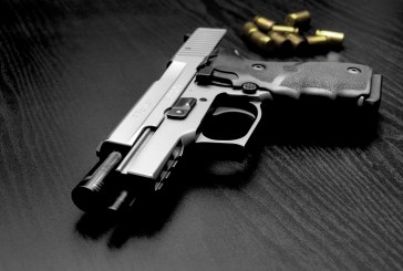 Guns Laws and Sentencing Scheme