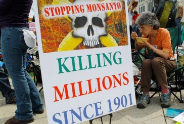 ‘Monsanto 10’ Back in Woodland Court Monday
