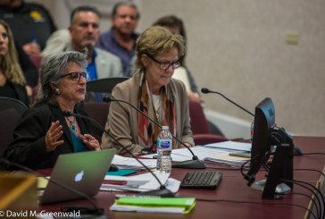 Council Approves in Concept a Dual Oversight Process