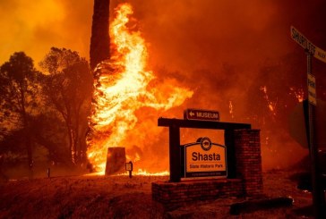 My View: Fires, Heat, the New Normal under Climate Change Sinks In