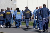 Guest Commentary: New Data Hubs Show Local Impact of Mass Incarceration in California and Louisiana