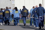 CDCR Staff Fail to Comply With Mandatory Testing; Intake From County Jails Resumes