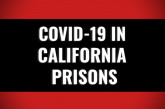 Nearly 400 COVID cases reported in California’s prisons during latest outbreak