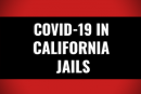 Explore latest data and updates on COVID in California’s county jail system