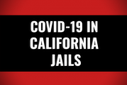 Solano County Jail Reports First COVID-19 Case – Questions Persist About Accuracy of Counts – Weekly Highlights – Breaking Down COVID-19 in CA Jails