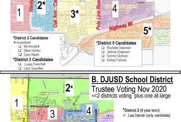 What District Am I In?  Handy Map of Both Council and School Board Districts