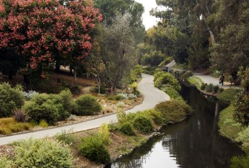 UC Davis Arboretum and Public Garden Invites Staff and Students to ‘Adapting and Growing for the Future’