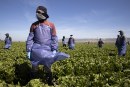 Migrant Workers Claim Not Paid by Employer Who Then Set Them Up to Be Deported by ICE