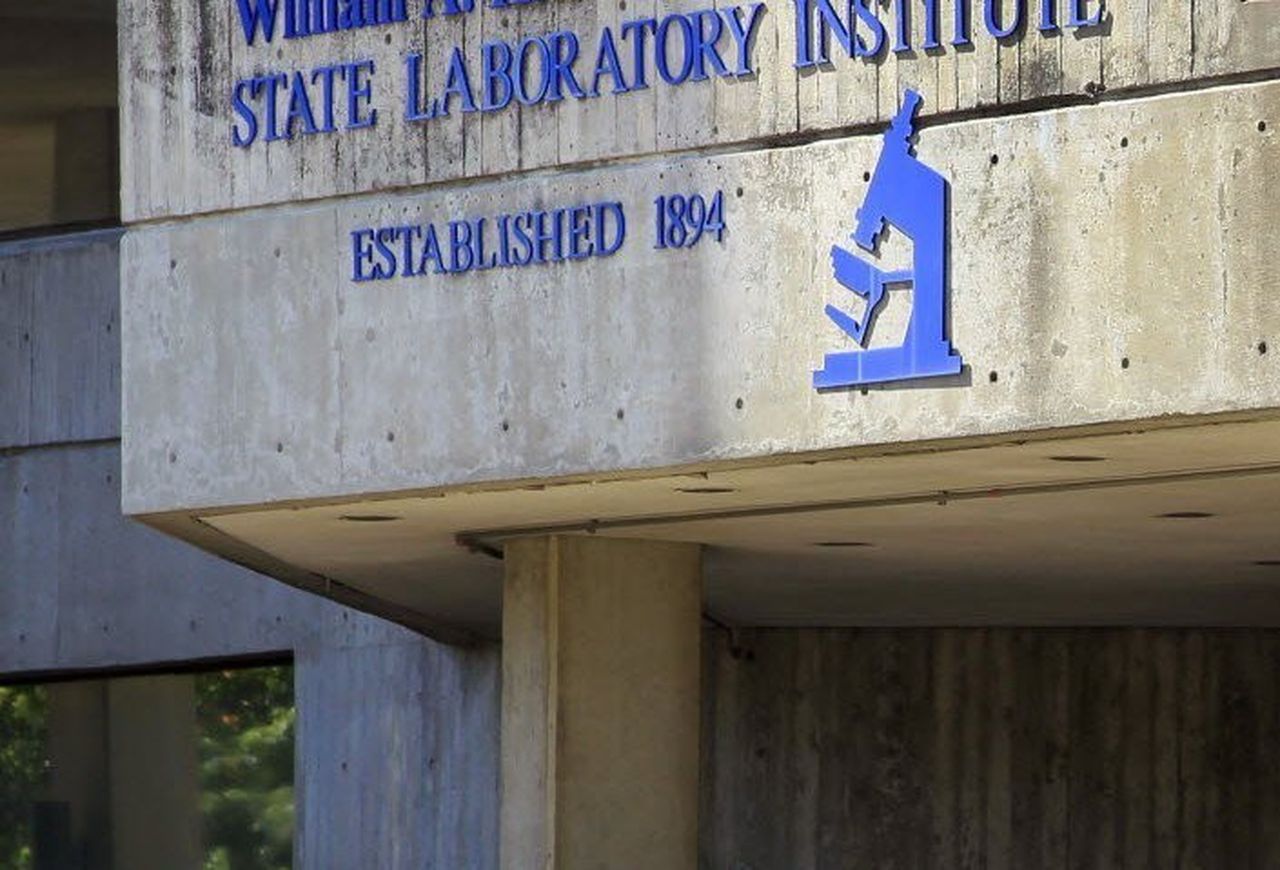 massachusettsstatedruglab Davis Vanguard