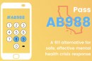 Care Not Cops: Demand Lawmakers Pass AB 988 – the Miles Hall Lifeline Act