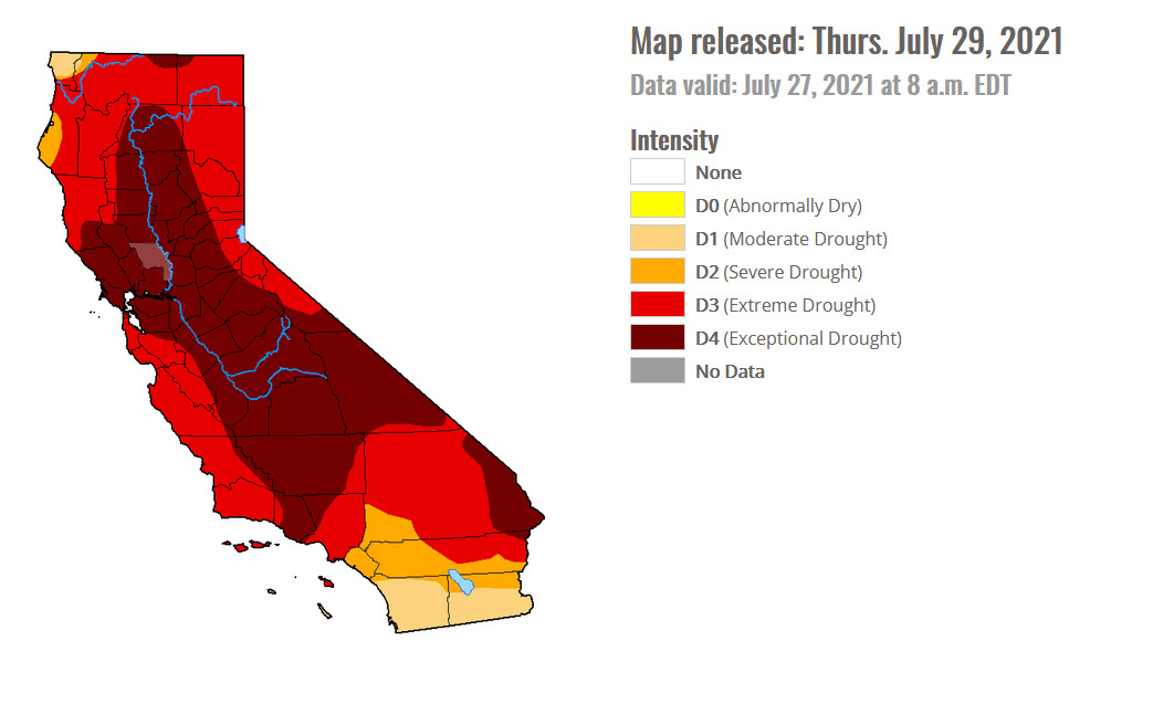 Drought Map July 2021 | Davis Vanguard