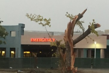 Guest Commentary: Sutter Tree Cutting Begins at Sutter ER – I Am Heartbroken