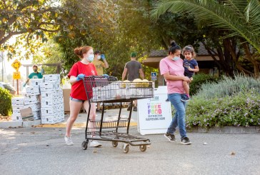 Yolo Food Bank’s Trajectory Prioritizes Systemic Solutions to Food Equity