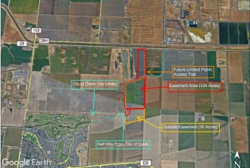 Davis Permanently Preserves 124 Acres of Farmland Northeast Of City Limits