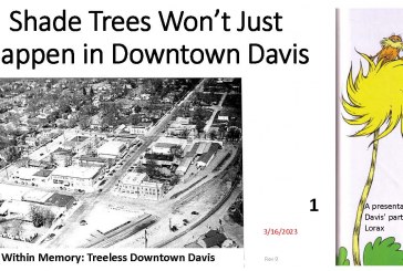Guest Commentary: Does Downtown Davis Need Trees? A First Step in Implementing Urban Forest Plan