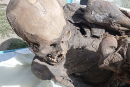 Student Opinion: Mummy Found in Peru