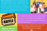 Yolo Youth Commission Hosting a Workshop in Davis