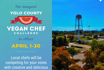 Yolo Vegan Chef Challenge for Earth Month