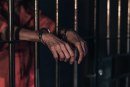 Study Shows New Magnitude of National Prison and Jail Racial Disparities