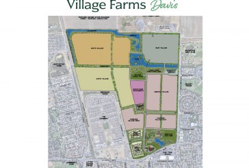 Guest Commentary: My Critique of Village Farms