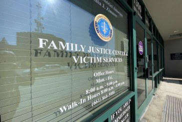 Restraining Orders Fail to Protect Family Court Judges and Children as Public Policy Intends