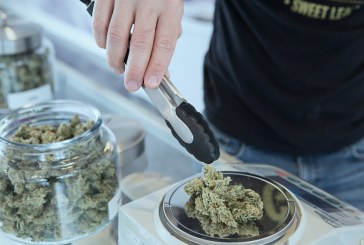 Organizations Demand Decriminalization of Marijuana in Letter to President Biden, Who Promised to Decriminalize ‘Pot’ When Running for President, They Claim