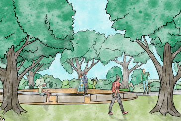 Tree Davis Seeking Feedback on Plans to Transform Sections of Robert Arneson Park into Climate-Ready Landscapes