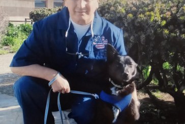 From Death Row to Service: Life Prisoners in California Train Service Dogs for Valley State Prison’s Freedom K-9 Program