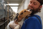 Wisconsin Moves to Dismiss Felonies, Trial against Activists – 2 from SF Area – for Rescuing Beagles in Distress
