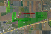 Davis Preserves Another 120 Acres of Farmland Northeast of City